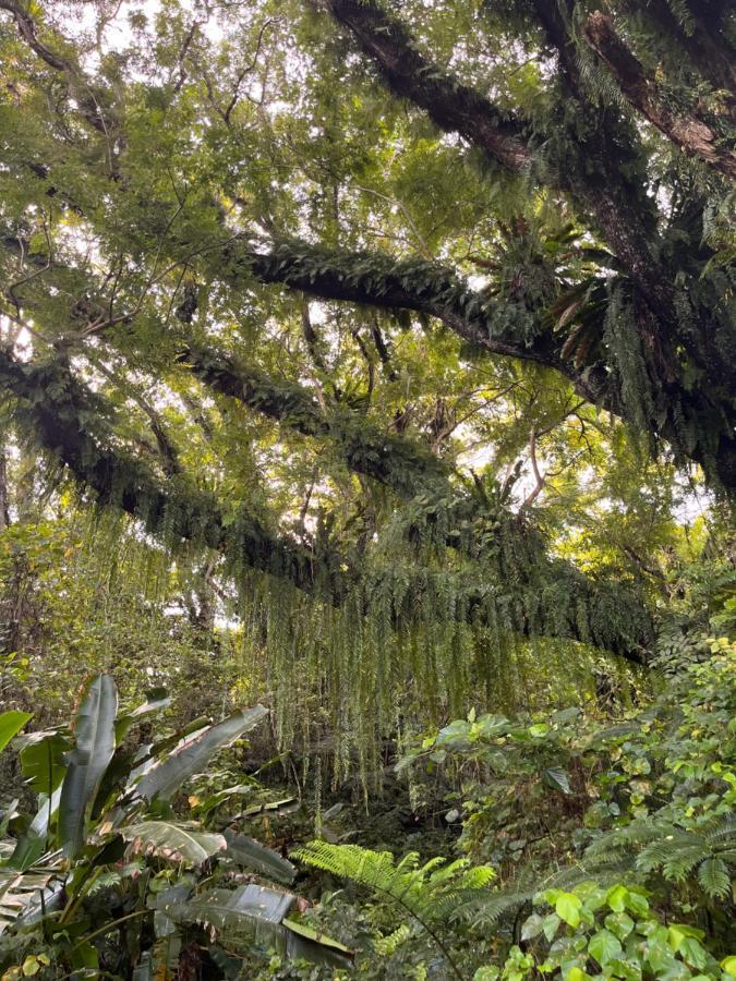 Naveria Heights Lodge Savusavu Dış mekan fotoğraf