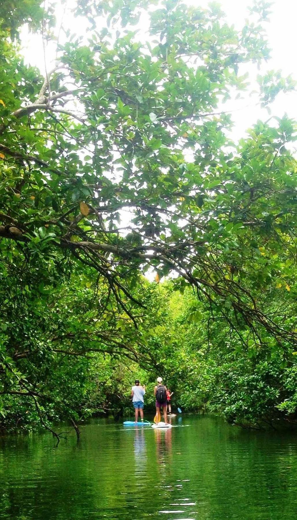 Naveria Heights Lodge Savusavu Dış mekan fotoğraf